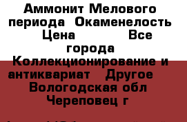 Аммонит Мелового периода. Окаменелость. › Цена ­ 2 800 - Все города Коллекционирование и антиквариат » Другое   . Вологодская обл.,Череповец г.